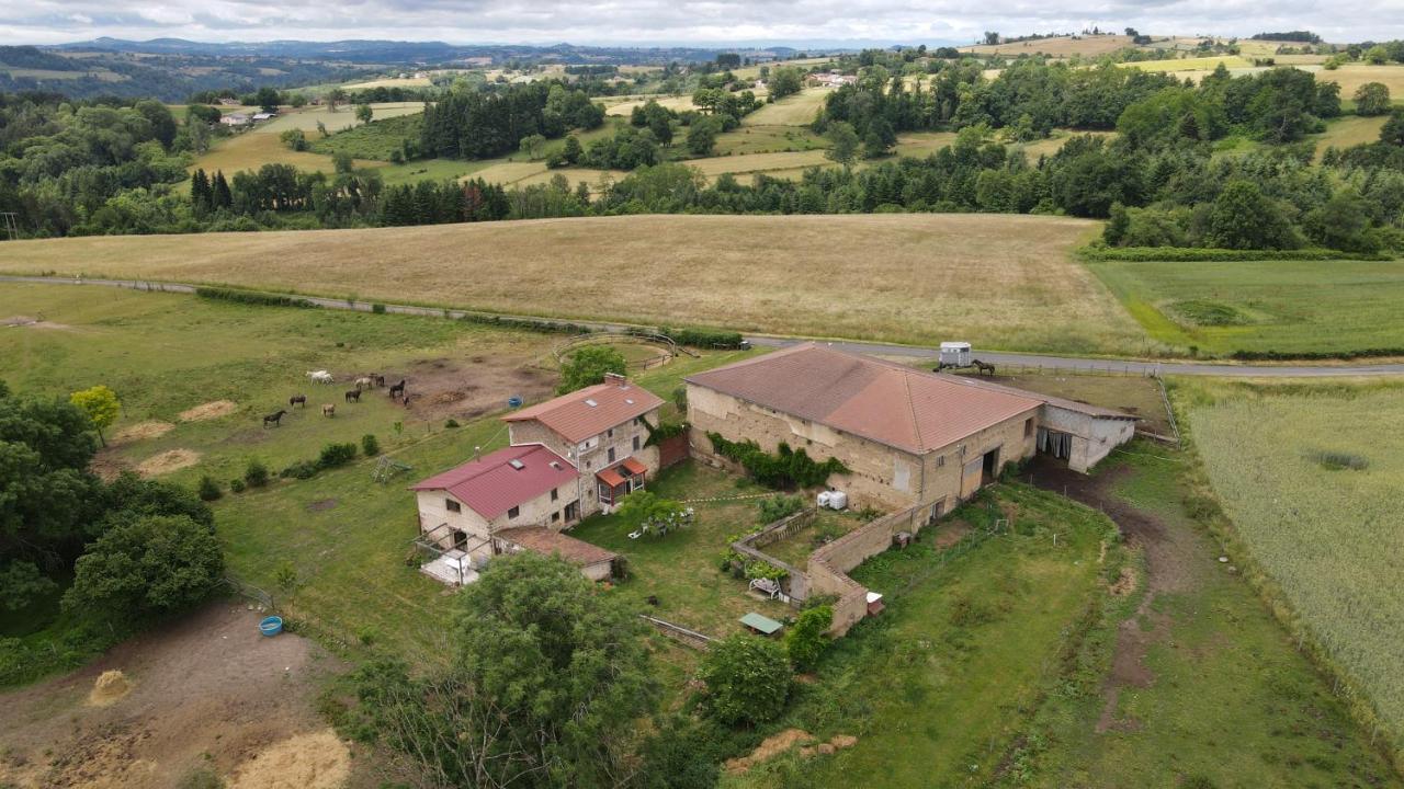 Domaine Du Coq En Pat Panzió Augerolles Kültér fotó
